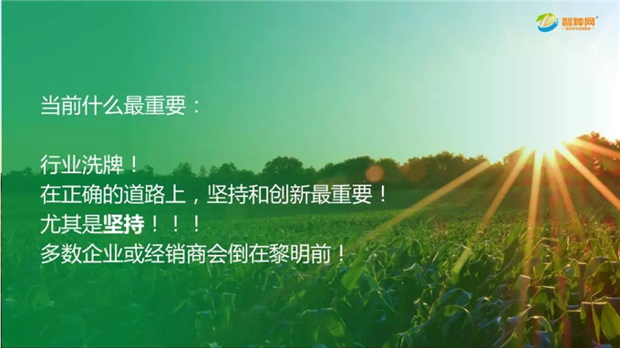 聚鑫汇官方网站图片