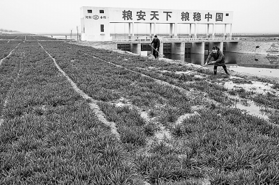 聚鑫汇官方网站图片