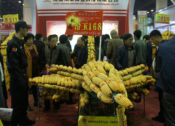 聚鑫汇 34069