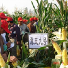 聚鑫汇 796f4