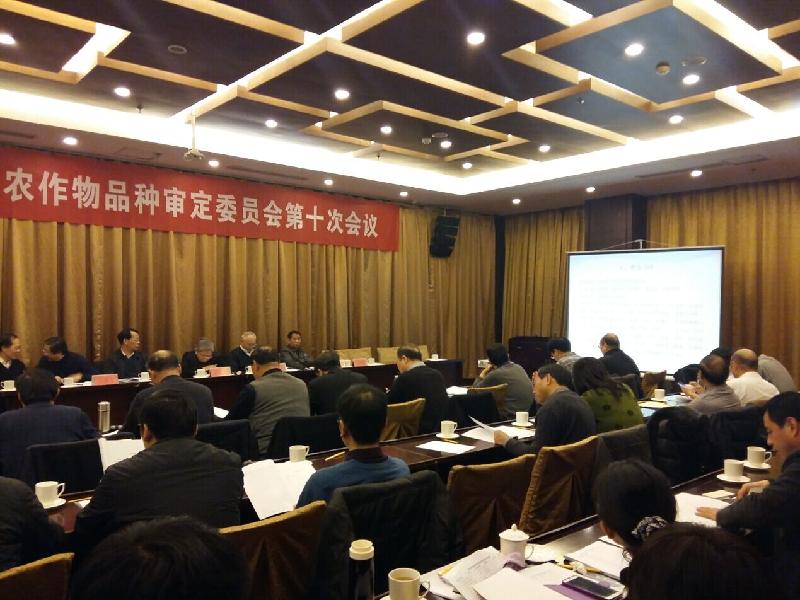 聚鑫汇官方网站图片