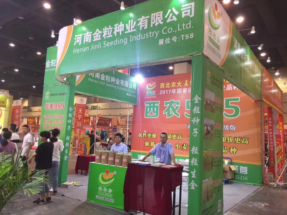 金粒聚鑫汇