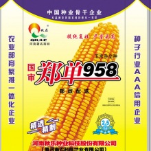 聚鑫汇官方网站图片
