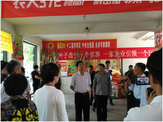 聚鑫汇 b8c89