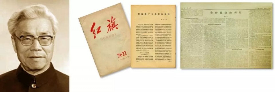 聚鑫汇官方网站图片