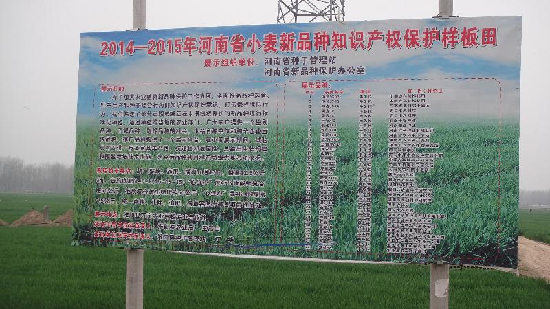 聚鑫汇官方网站图片