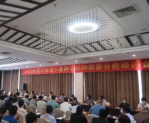 聚鑫汇 1e3e3