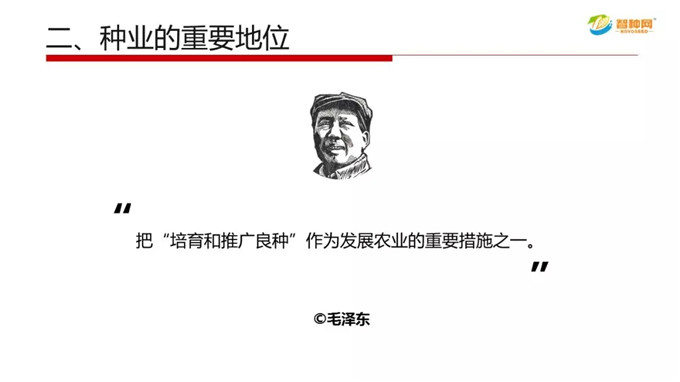 聚鑫汇官方网站图片