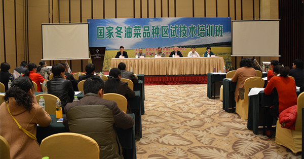 聚鑫汇官方网站图片