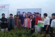 聚鑫汇 c3af1