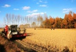 聚鑫汇 b6855