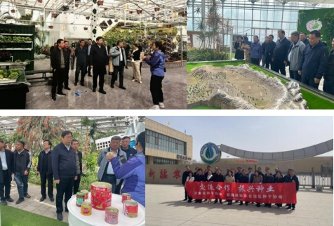 聚鑫汇官方网站图片
