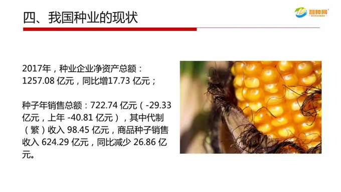 聚鑫汇 52824