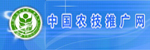 聚鑫汇 0c059