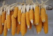 聚鑫汇 2638e