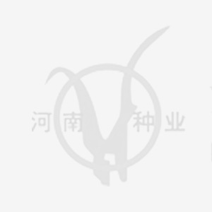 聚鑫汇 d1f85