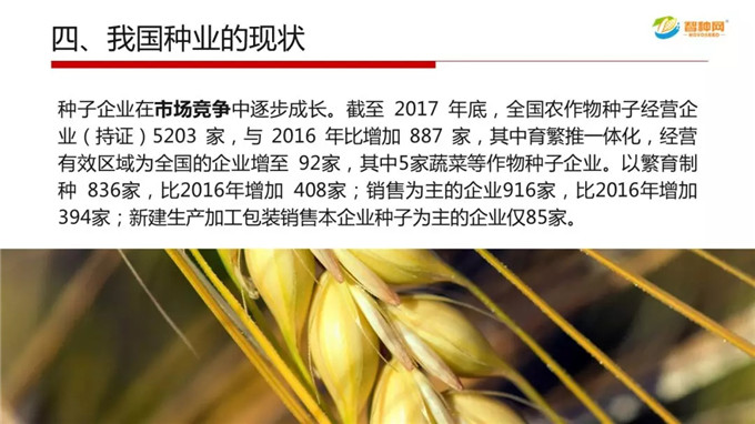 聚鑫汇官方网站图片