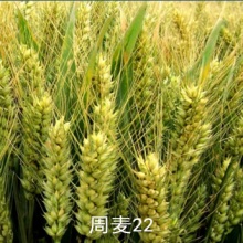 聚鑫汇官方网站图片