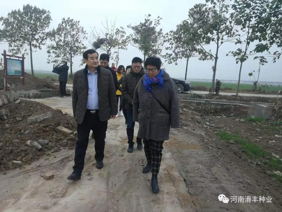 聚鑫汇官方网站图片