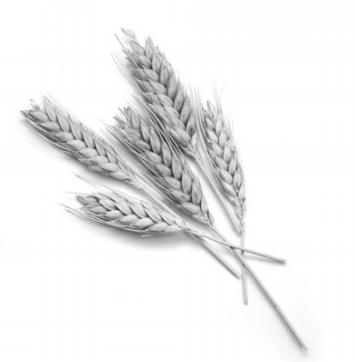 聚鑫汇官方网站图片