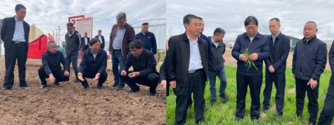 聚鑫汇官方网站图片