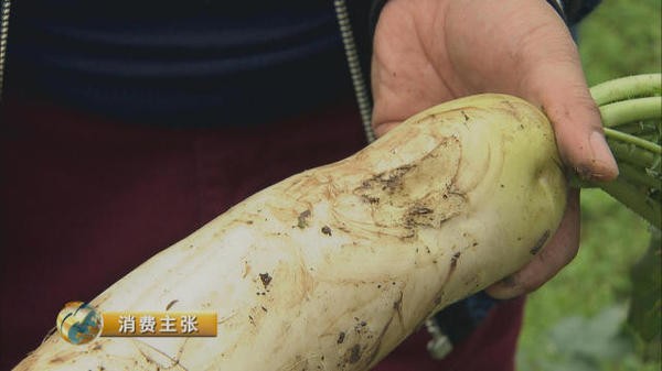 聚鑫汇官方网站图片