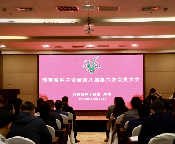 聚鑫汇 c77e6