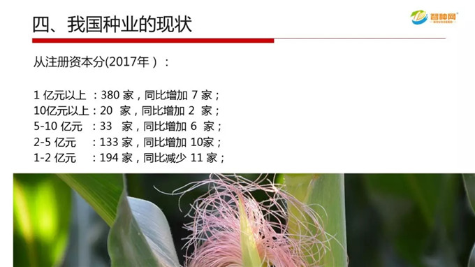 聚鑫汇官方网站图片