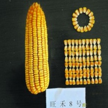 聚鑫汇官方网站图片