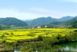 聚鑫汇 43602