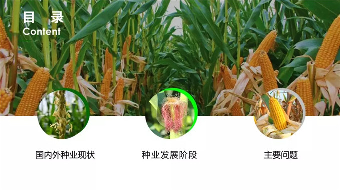 聚鑫汇官方网站图片