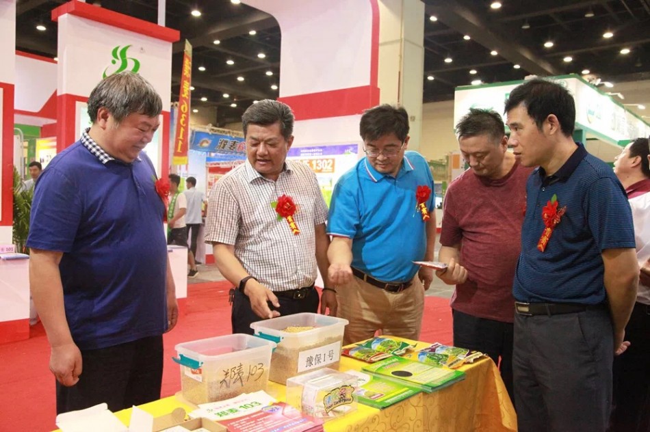聚鑫汇官方网站图片