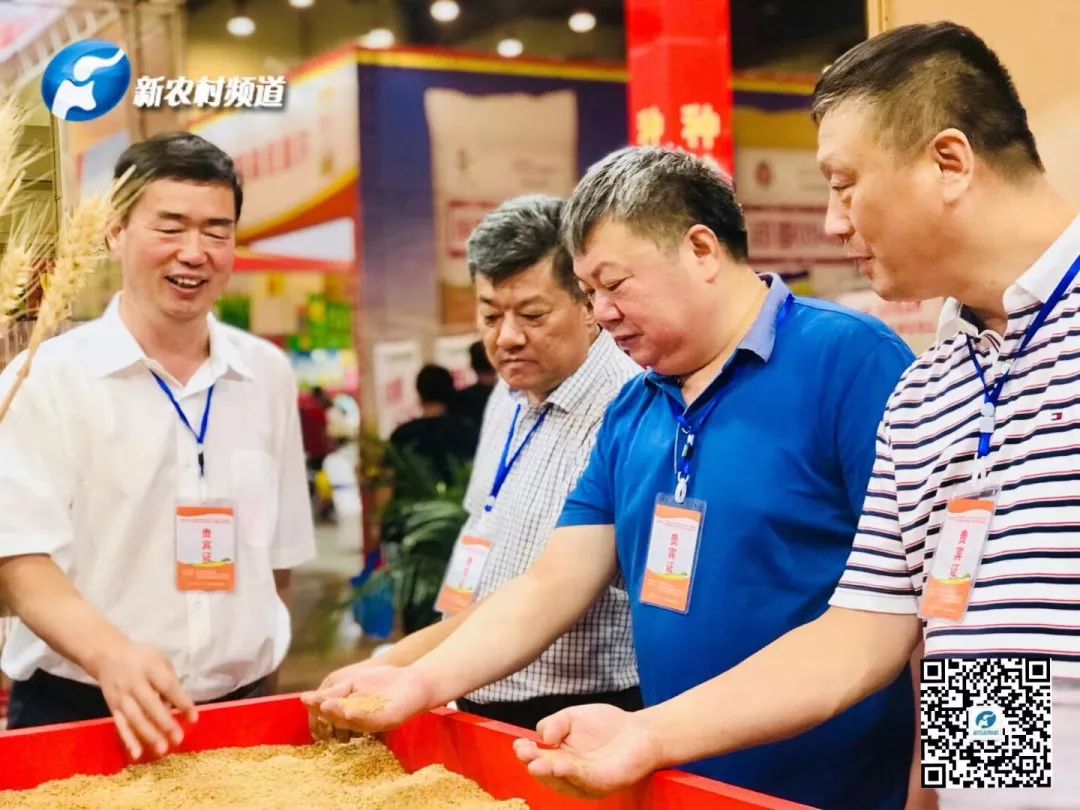 聚鑫汇 52246