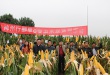 聚鑫汇 f3a36